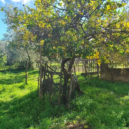 Calabria لاميزيا تيرمي