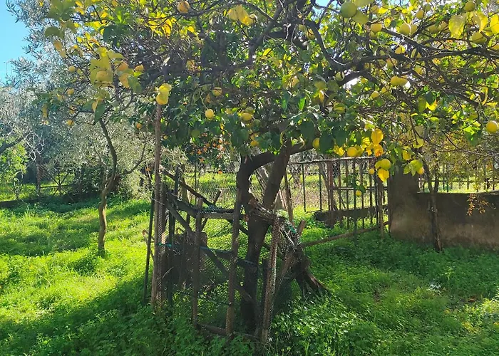 Calabria Lamezia Terme